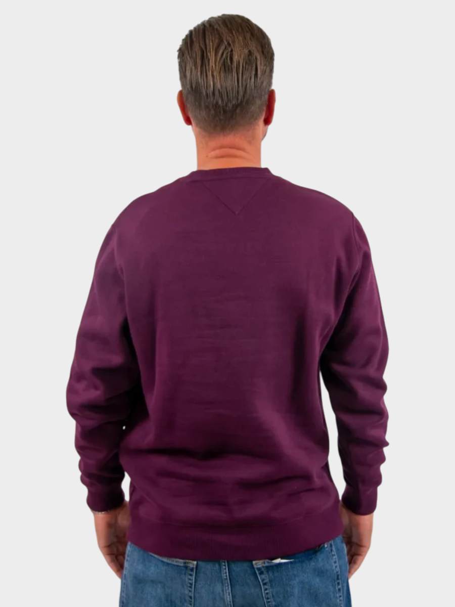 Tommy-Hilfiger-muški-duks-thdm0dm20741-v11-03